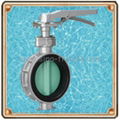 Butterfly Valve 3