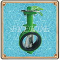 Butterfly Valve 4