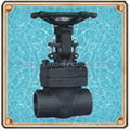 Globe Valve