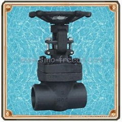 Globe Valve