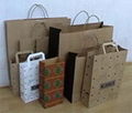 paper bag 1