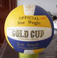 Gold Cup Volleyball-Original