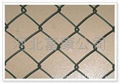 pvc coated chain link fence