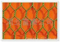 pvc coated hexagonal wire mesh