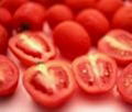 tomato extract