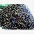 guarana extract 1