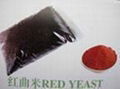 Red Yeast Rice Powder Extract 2