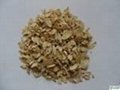 Astragalus Extract Powder 2