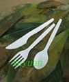 Plant Cutlery/ecofriendly tableware