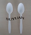 Spoon / Biodegradable cutlery/
