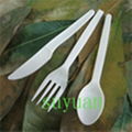 CPLA Dinnerware/Disposable Utensils  2