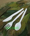 CPLA Dinnerware/Disposable Utensils  4