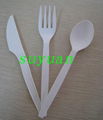 CPLA Dinnerware/Disposable Utensils  5