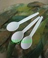 Biodegradable cutlery/Cutlery 