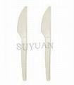 Biodegradable cutlery/Cutlery  2