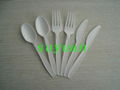 CPLA cutlery/Ecofriendly cutlery  2