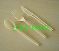 Biodegradable cutlery/Cutlery  5