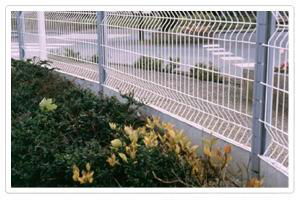 Fencing Wire Mesh 3