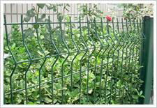 Fencing Wire Mesh 5