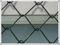 Chain Link wire mesh