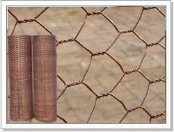 Hexagonal Wire Netting 3