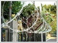 Razor Barbed Wire 1