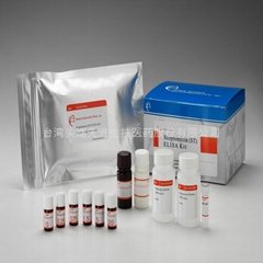 Streptomycin (ST) ELISA Diagnostic Kit