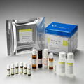 呋喃西林检测试剂盒 1