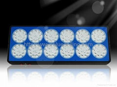 led grow lights for hydroponic Apollo 20 