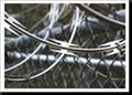 Razor Wire Fencing 1