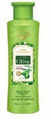 Olive Hair Conditioner