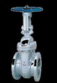 API Gate Valve 1