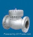 SWING CHECK VALVE 1