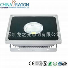 LED Floodlight