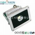 LED Floodlight