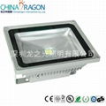 LED Flood Light