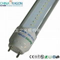 T8 LED Tube