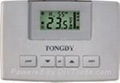 Digital Thermostat