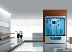 steam room with CE Approval(HS101)