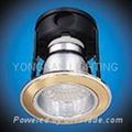 Down Light Model YC 2001