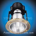 Down Light Model YC 3001A