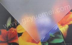 polycarbonate abrasive sheet