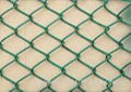 Chain link fence 2