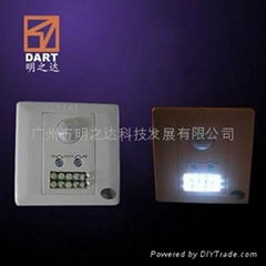 motion sensor light