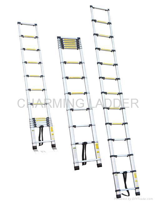 telescopic ladder