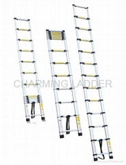 telescopic ladder