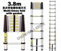 telescopic ladder 2