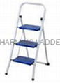 steel ladder(LF103)