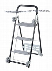 Trolley and Ladder