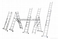 Extention Ladder